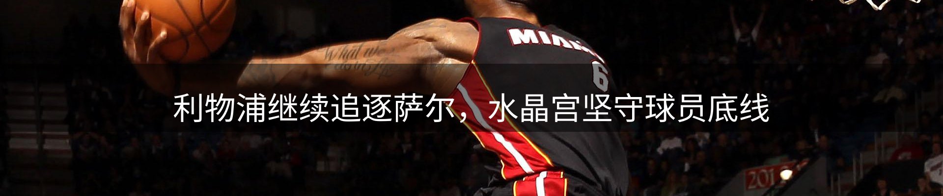 焦点亮点