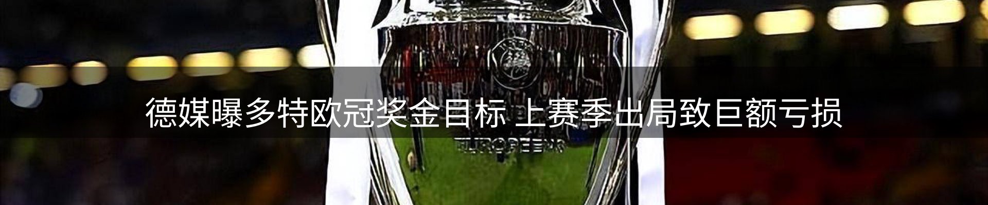 焦点亮点