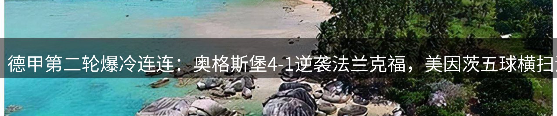 焦点亮点