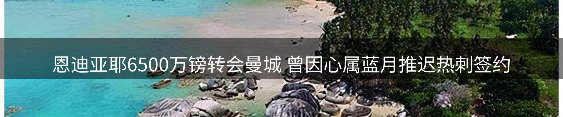 焦点亮点