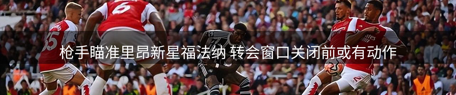 焦点亮点