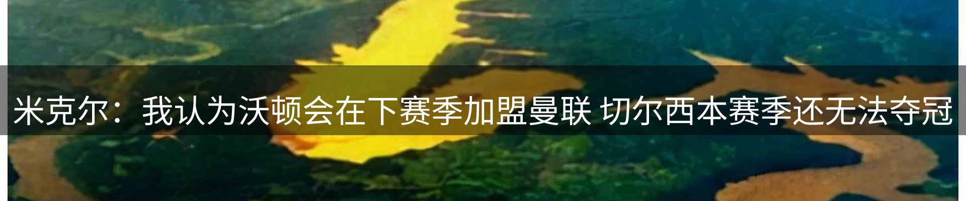 焦点亮点