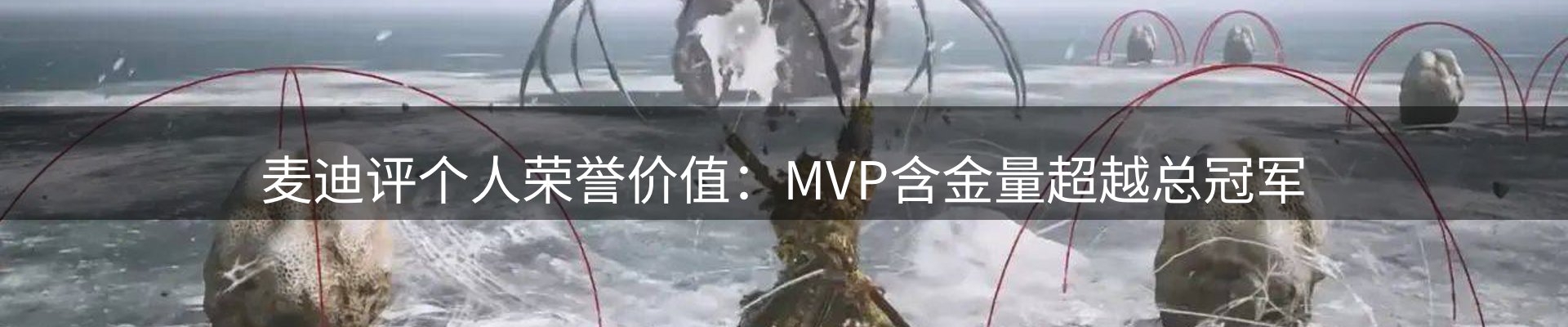 焦点亮点